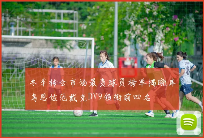 冬季转会市场最贵球员榜单揭晓库鸟恩佐范戴克DV9领衔前四名