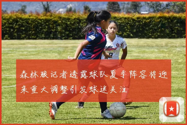 森林狼记者透露球队夏季阵容将迎来重大调整引发球迷关注